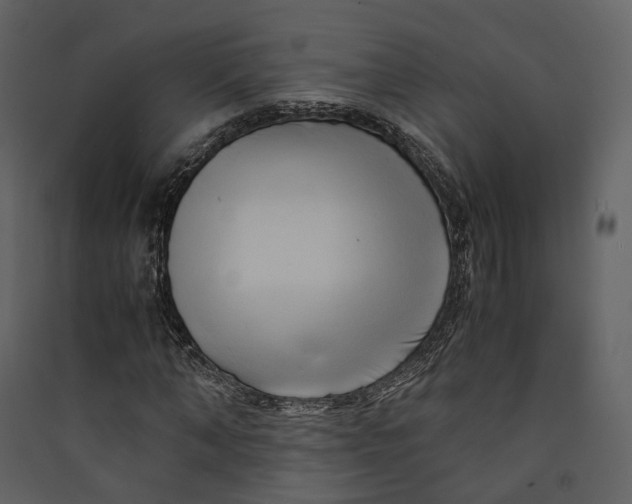 X0000089410870200707131759