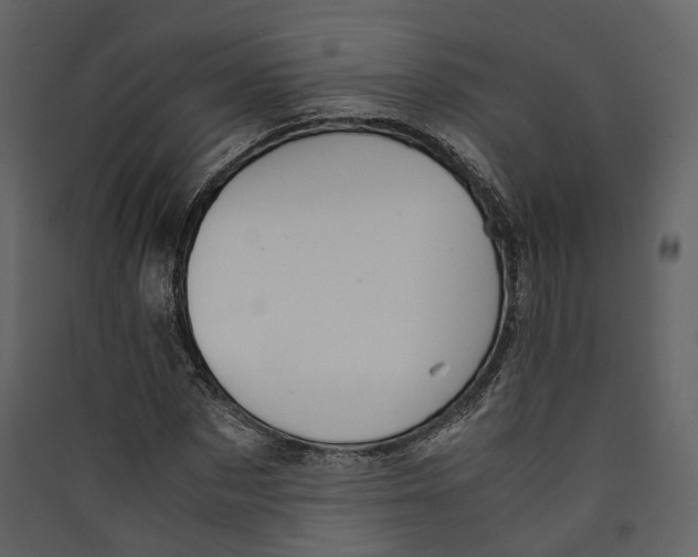 X0000089410873200707131759