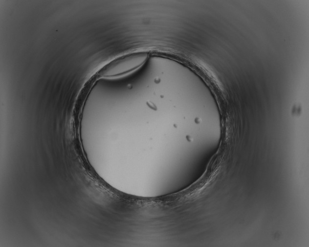 X0000089410876200707131759