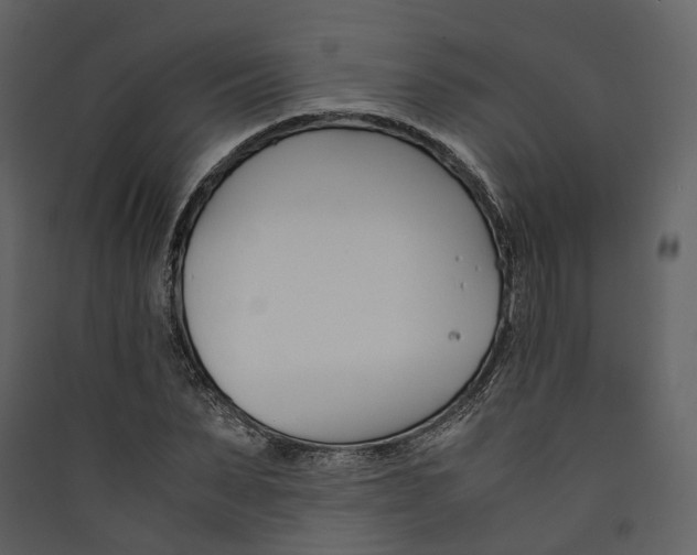 X0000089410879200707131759