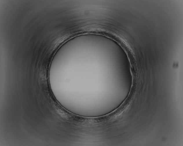 X0000089410881200707131759