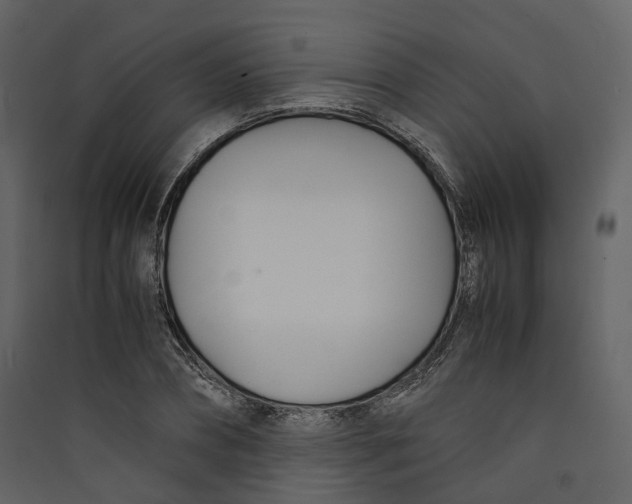 X0000089410882200707131759