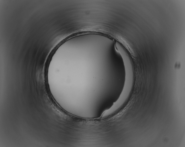 X0000089410884200707131759