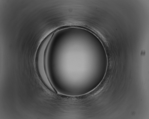 X0000089410885200707131758