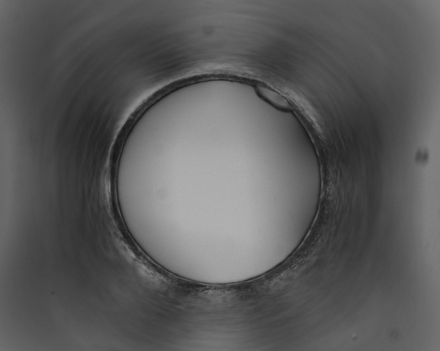 X0000089410888200707131758