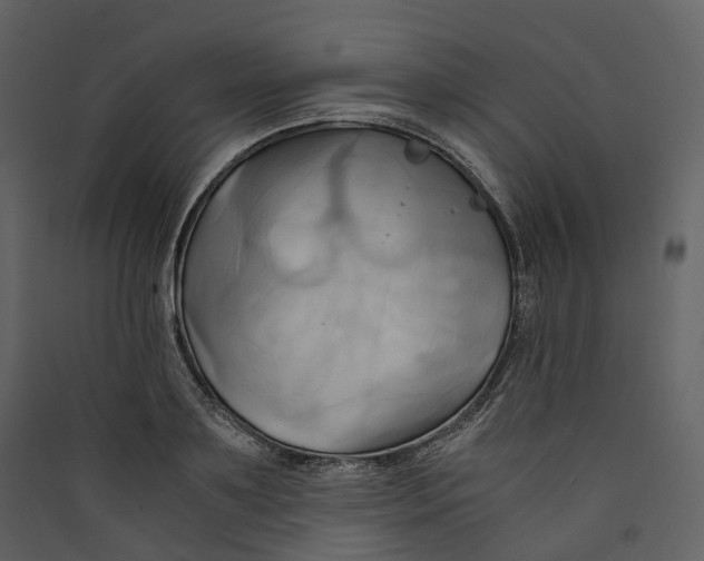 X0000089410891200707131758