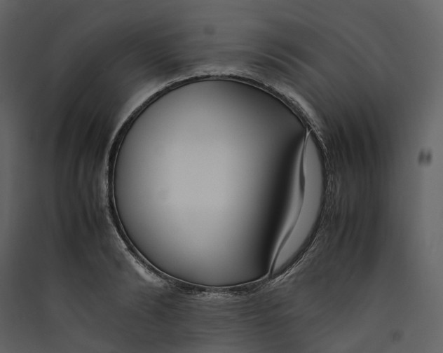 X0000089410894200707131758