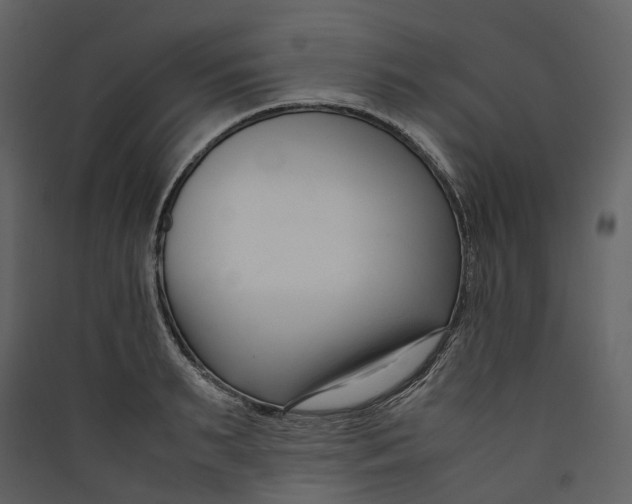 X0000089410895200707131758