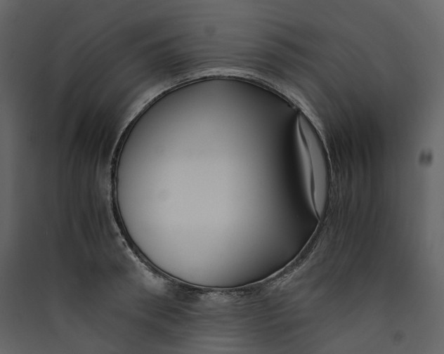 X0000089410898200707131758