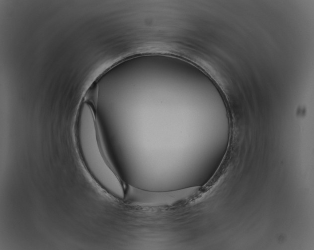 X0000089410901200707131758