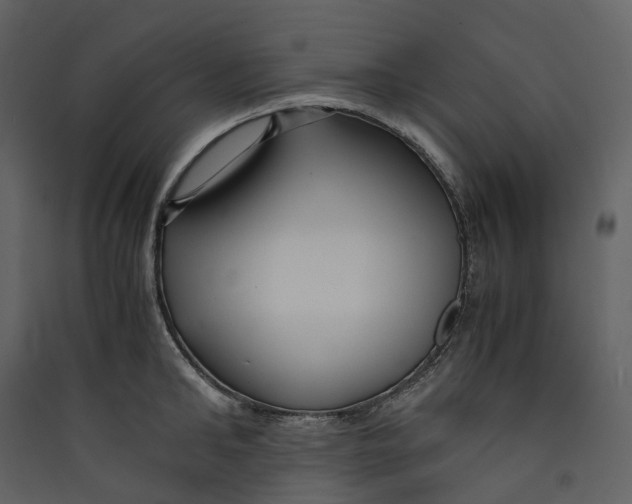 X0000089410902200707131758