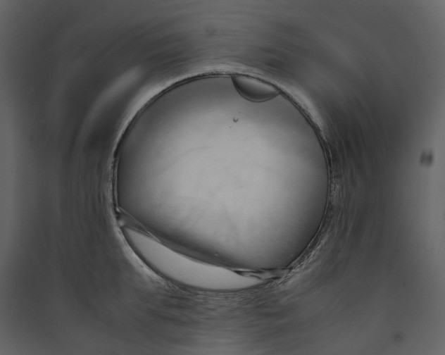 X0000089410903200707131758