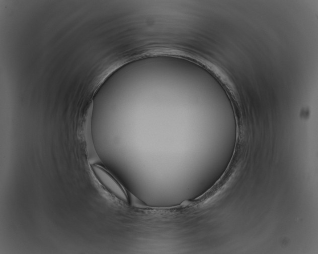 X0000089410905200707131758