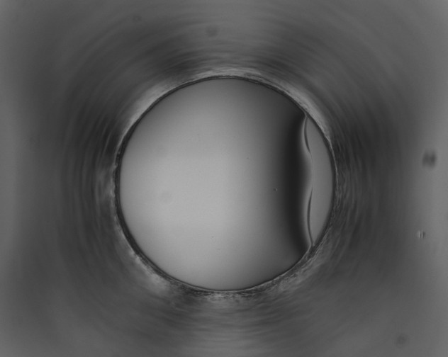 X0000089410906200707131758