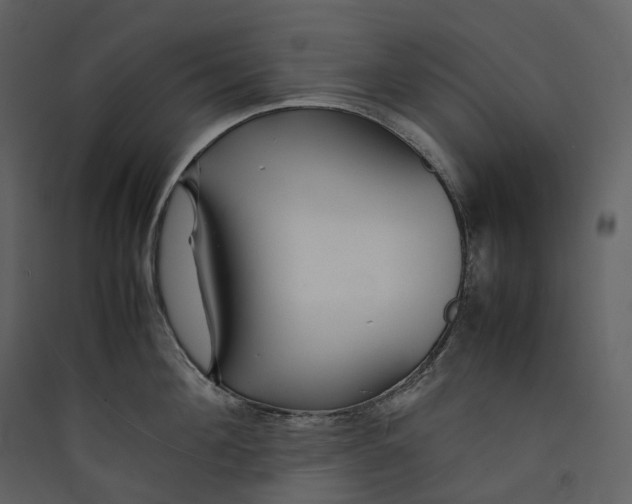 X0000089410908200707131758