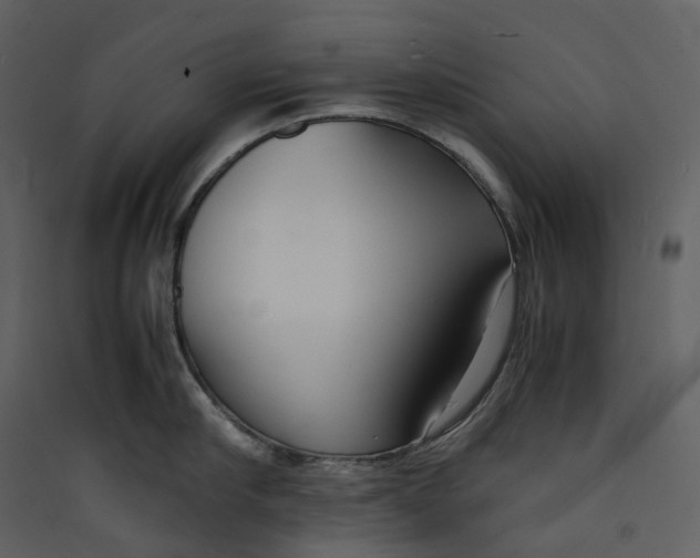 X0000089410910200707131758