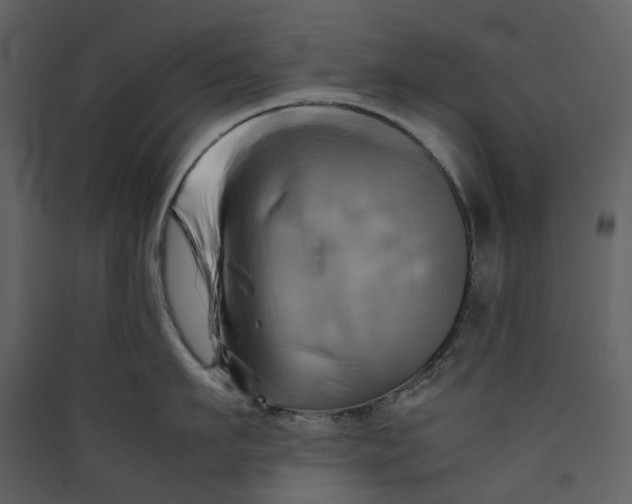 X0000089410911200707131758
