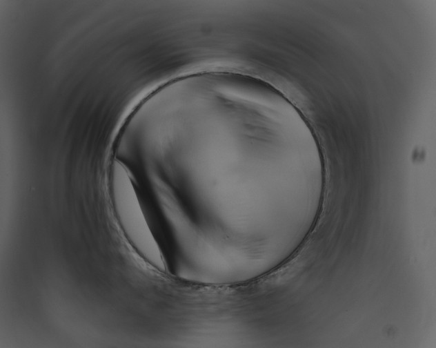 X0000089410912200707131758