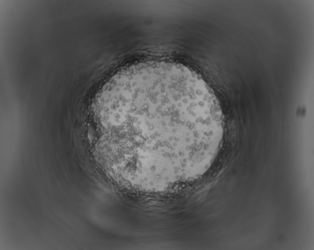 X0000089410913200707131757