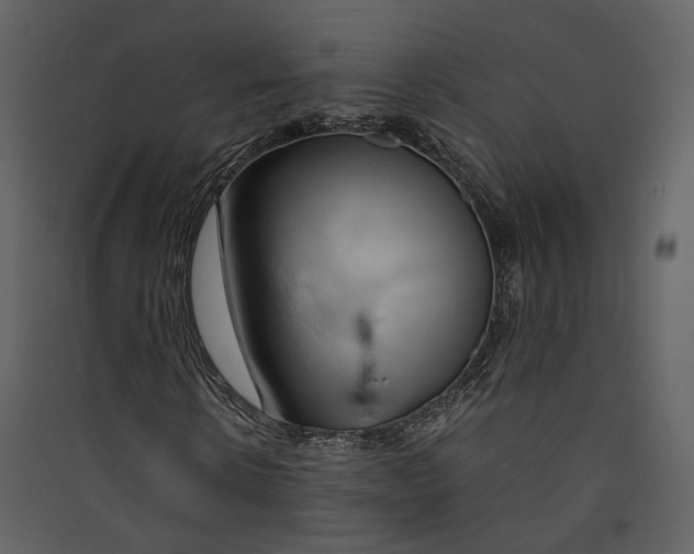 X0000089410914200707131757