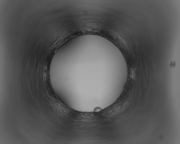 X0000089410915200707131757