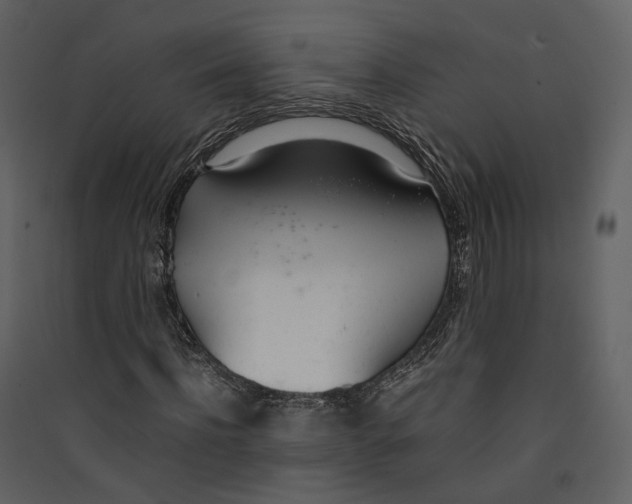 X0000089410916200707131757