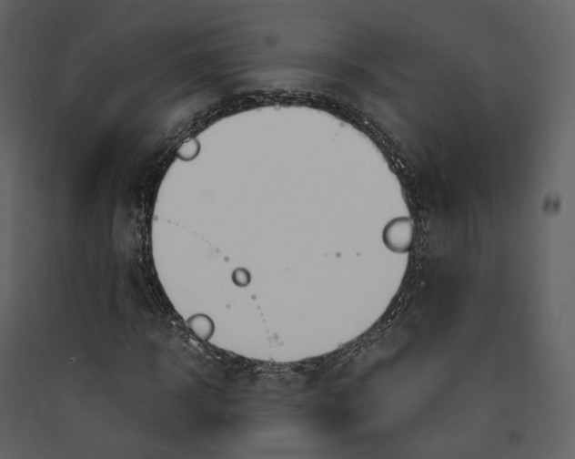 X0000089410918200707131757