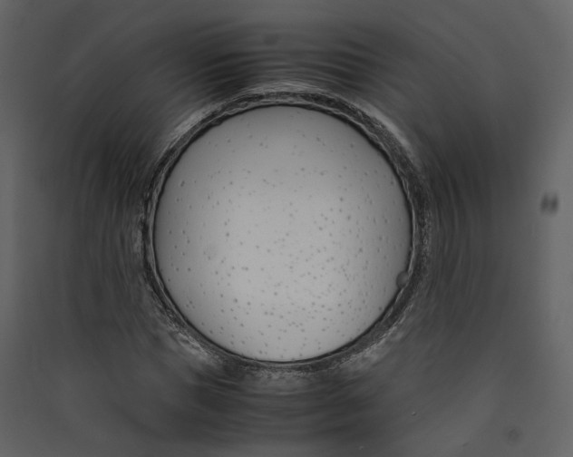 X0000089410921200707131757