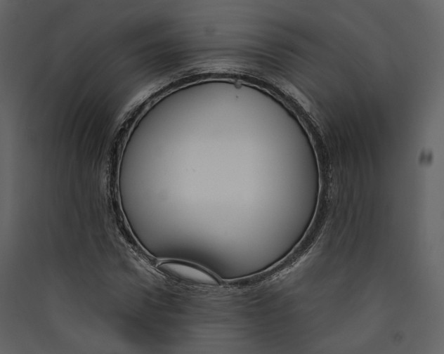 X0000089410922200707131757