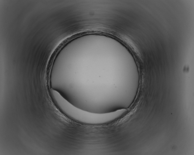 X0000089410924200707131757
