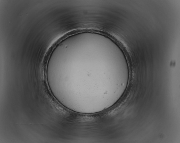 X0000089410925200707131757