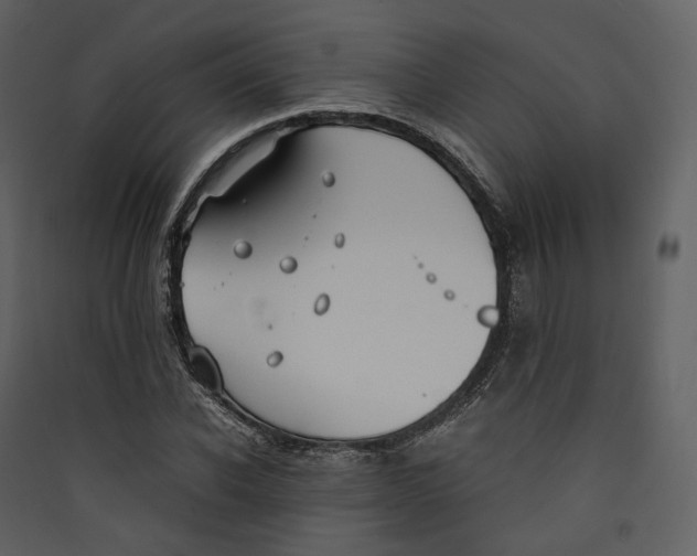 X0000089410926200707131758