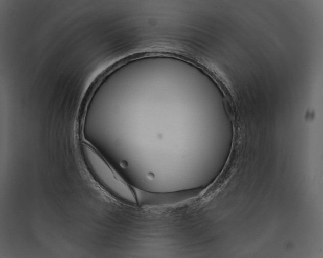 X0000089410928200707131758