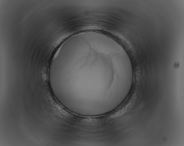 X0000089410929200707131758