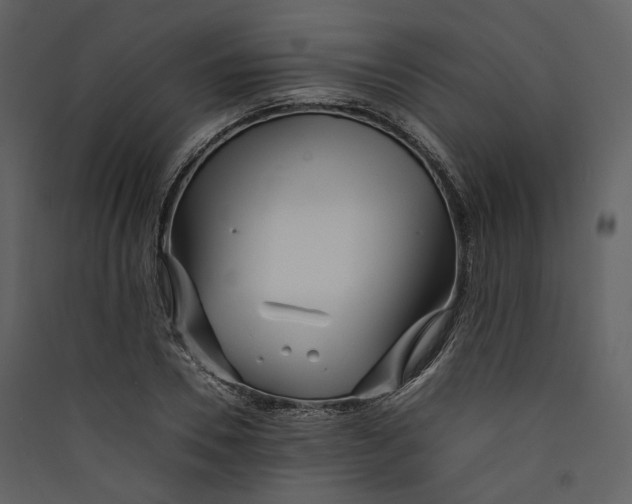 X0000089410930200707131758