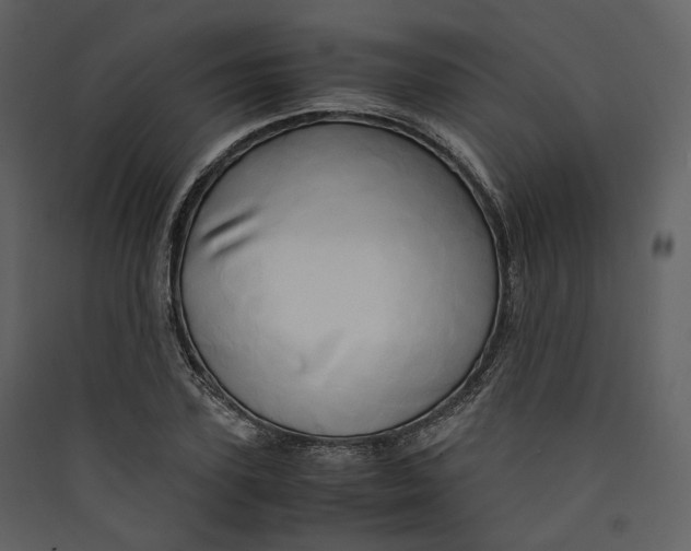 X0000089410931200707131758