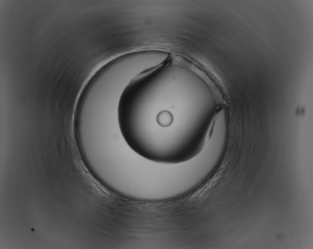 X0000089410932200707131758
