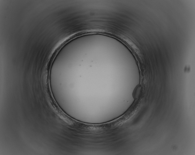 X0000089410933200707131758