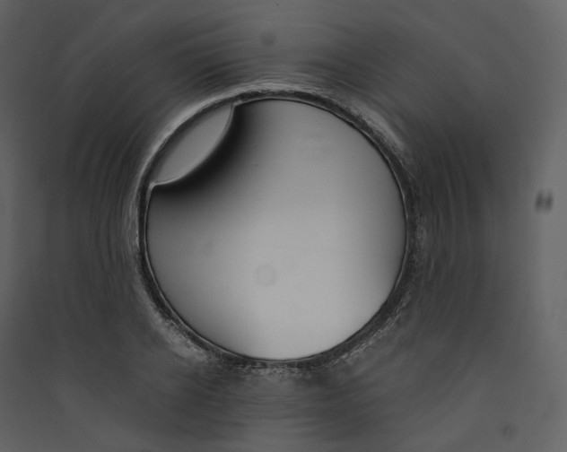X0000089410934200707131758