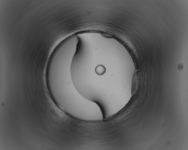 X0000089410936200707131758