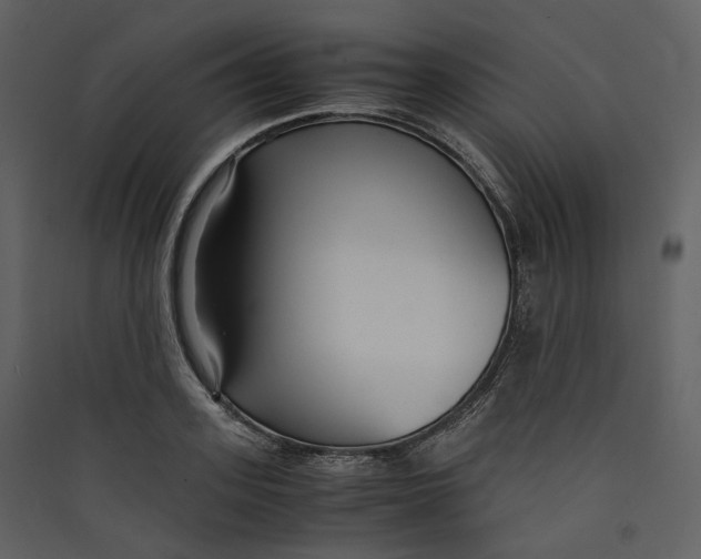 X0000089410939200707131758