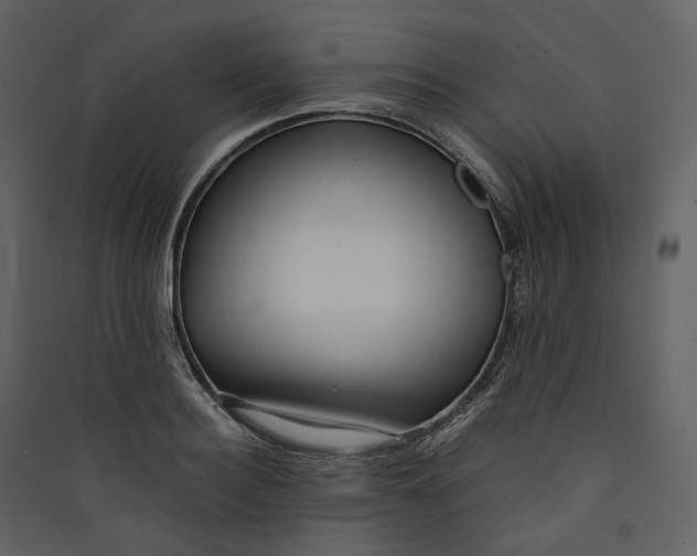 X0000089410940200707131758