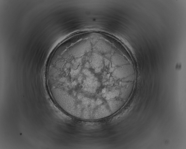 X0000089410941200707131758
