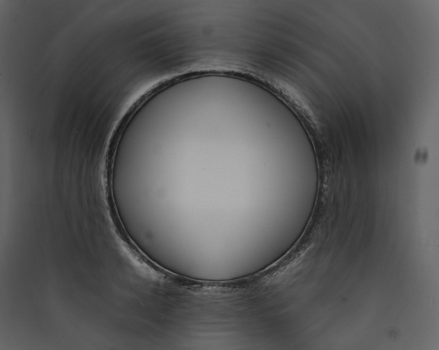 X0000089410942200707131758