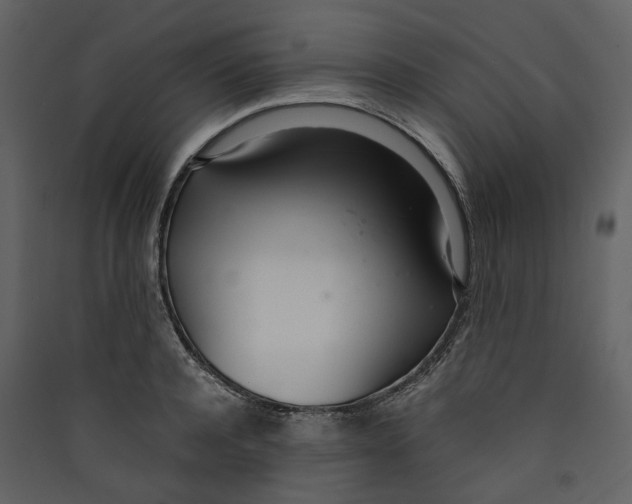 X0000089410944200707131758