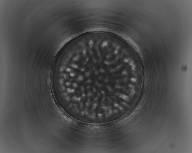 X0000089410945200707131758