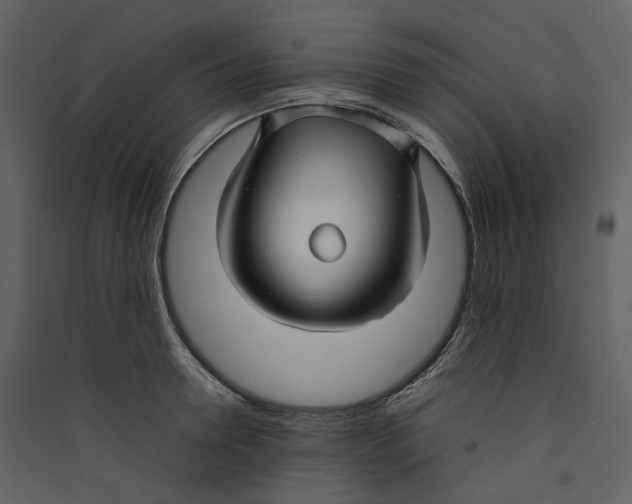 X0000089410946200707131758