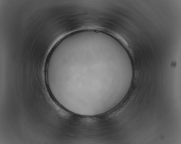 X0000089410947200707131758