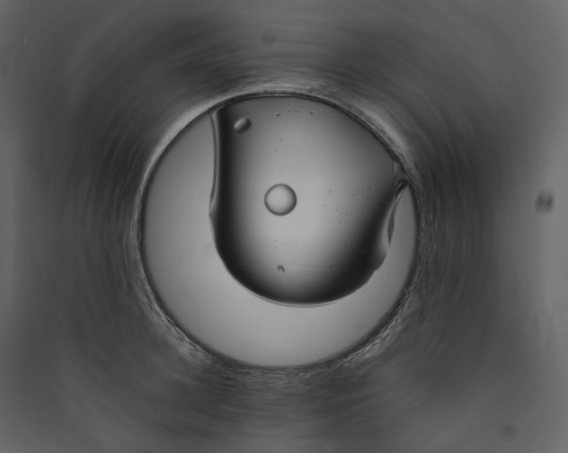 X0000089410948200707131758