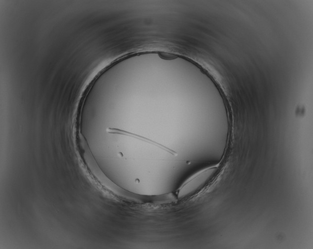 X0000089410949200707131758
